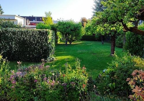 Blick in den Garten