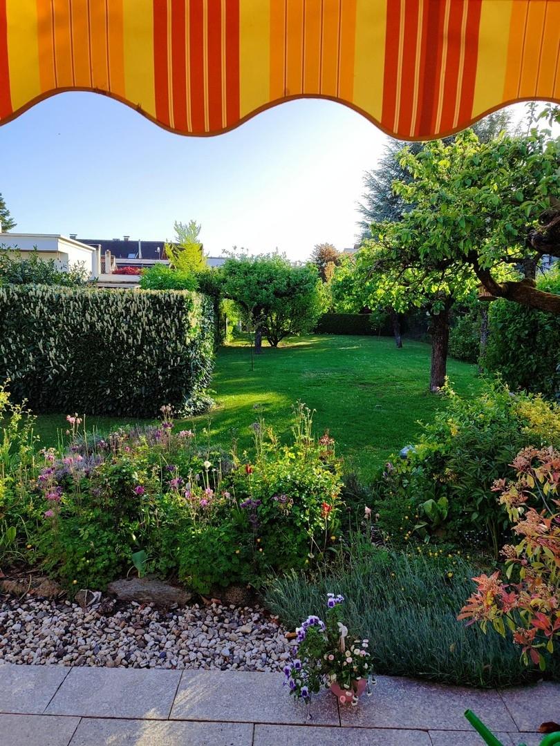 Blick in den Garten