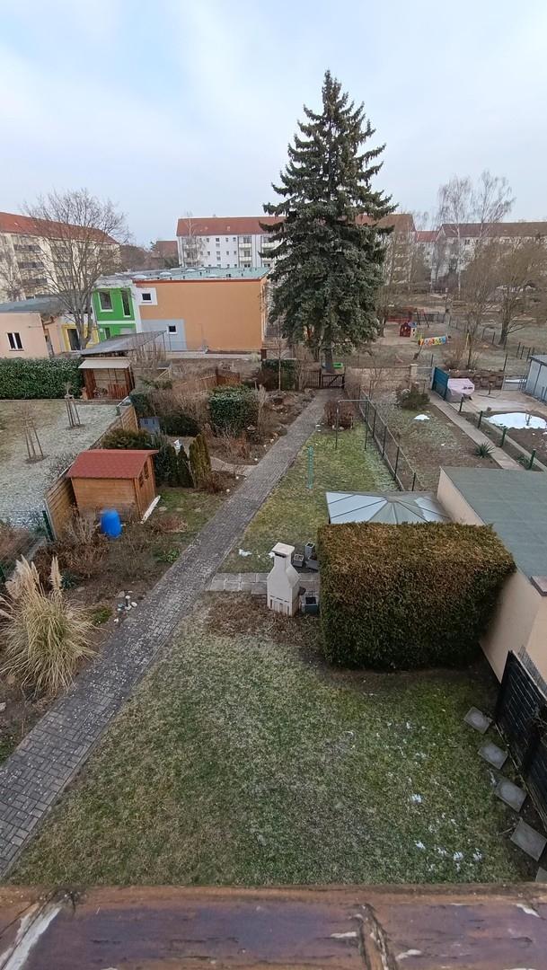 Blick in den Garten