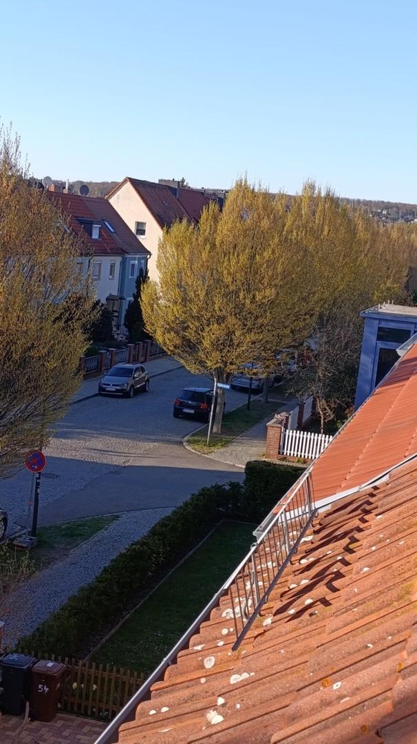 Blick zu den Weinbergen