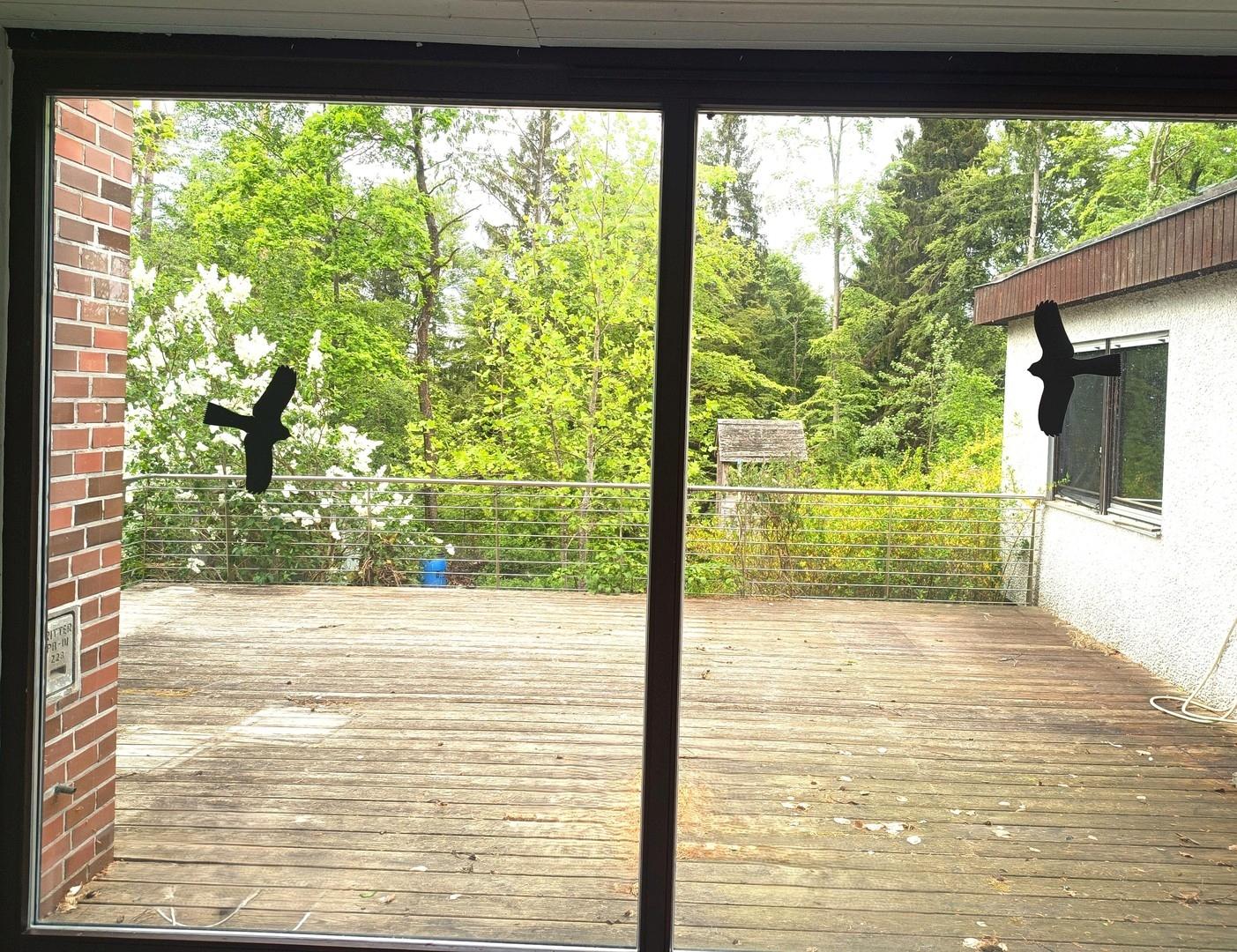 Ausblick Wintergarten
