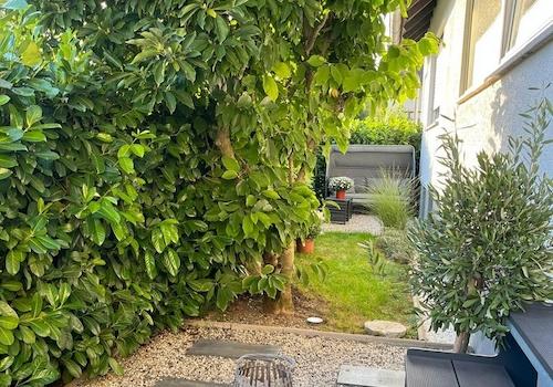 Garten 1