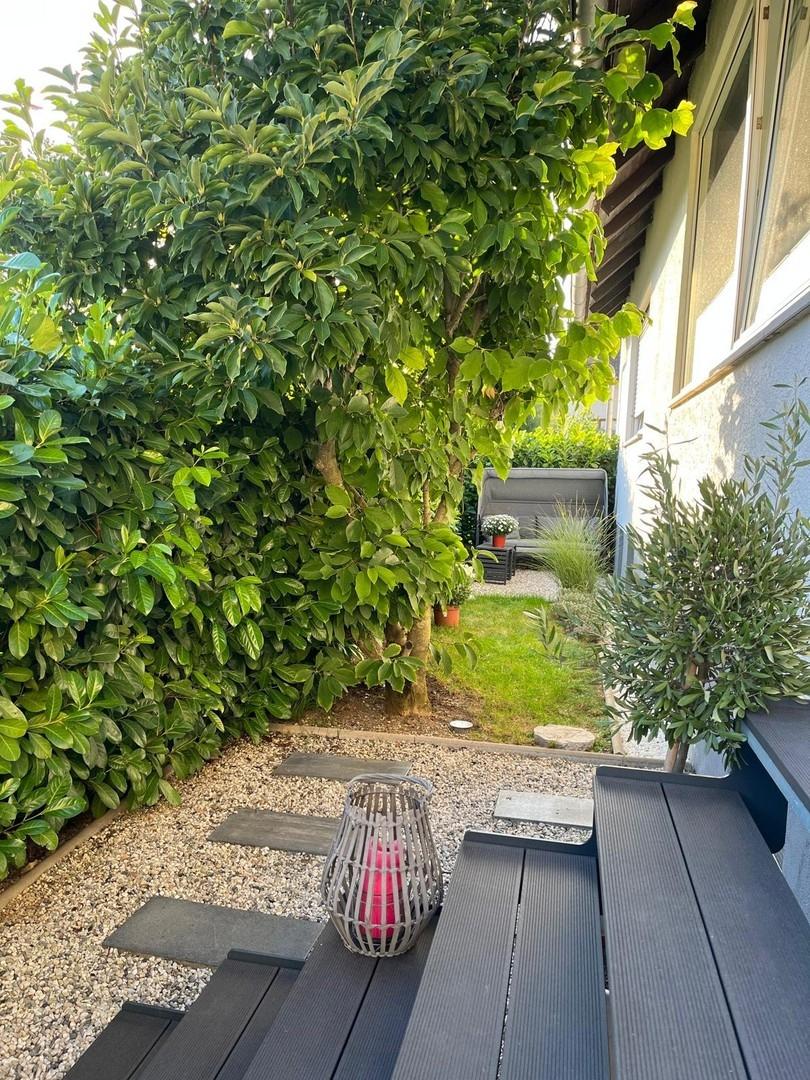 Garten 2