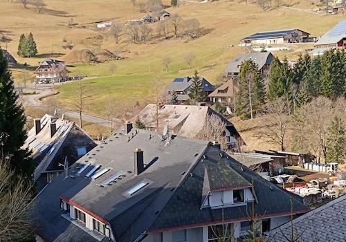 Fenterblick