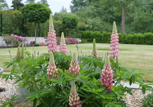 Impressionen Garten