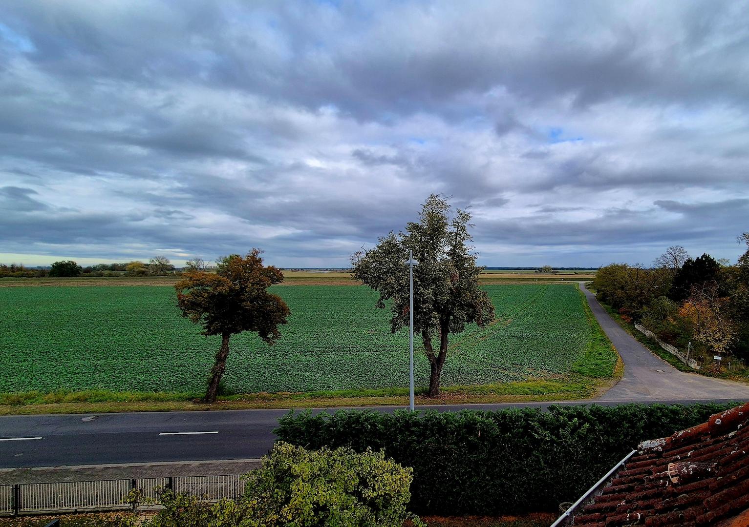 Ausblick