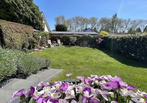 Blick in den Garten