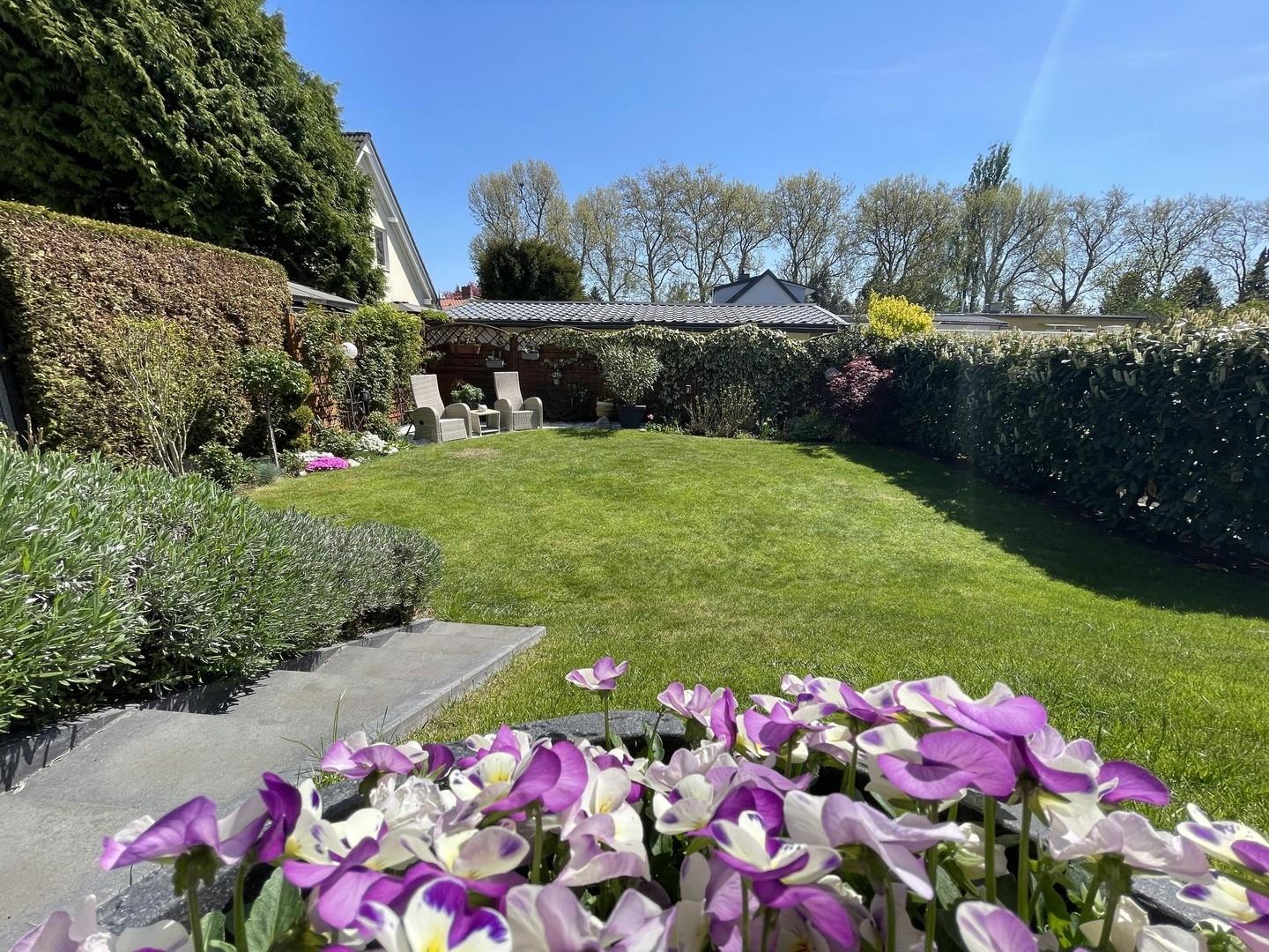 Blick in den Garten