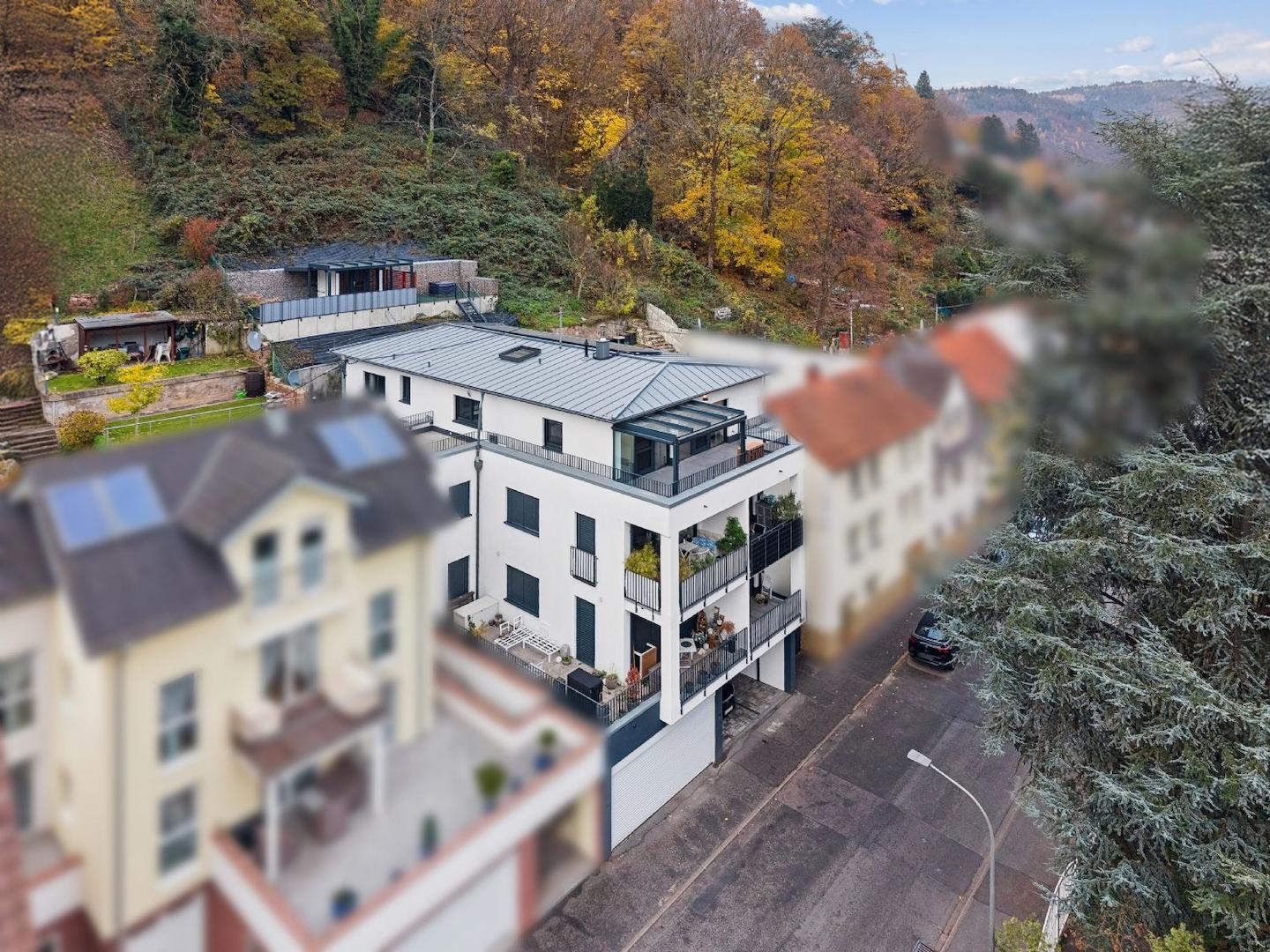 Penthouse mit Freisitz am Hang und Neckarblick