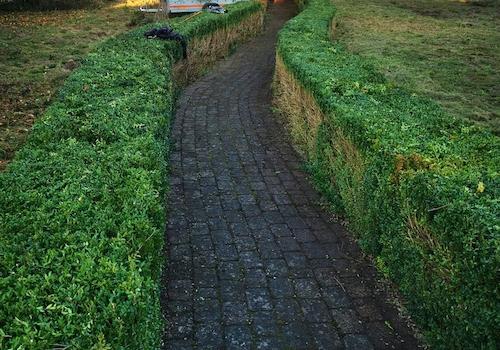 Rundgang im Park