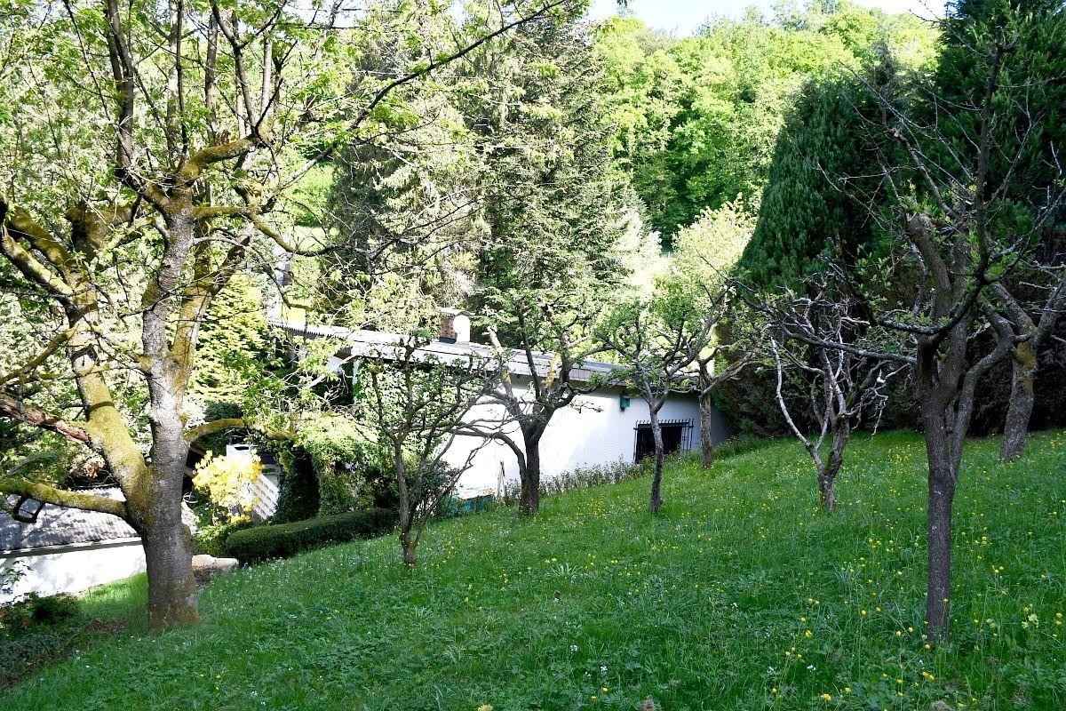 Garten...