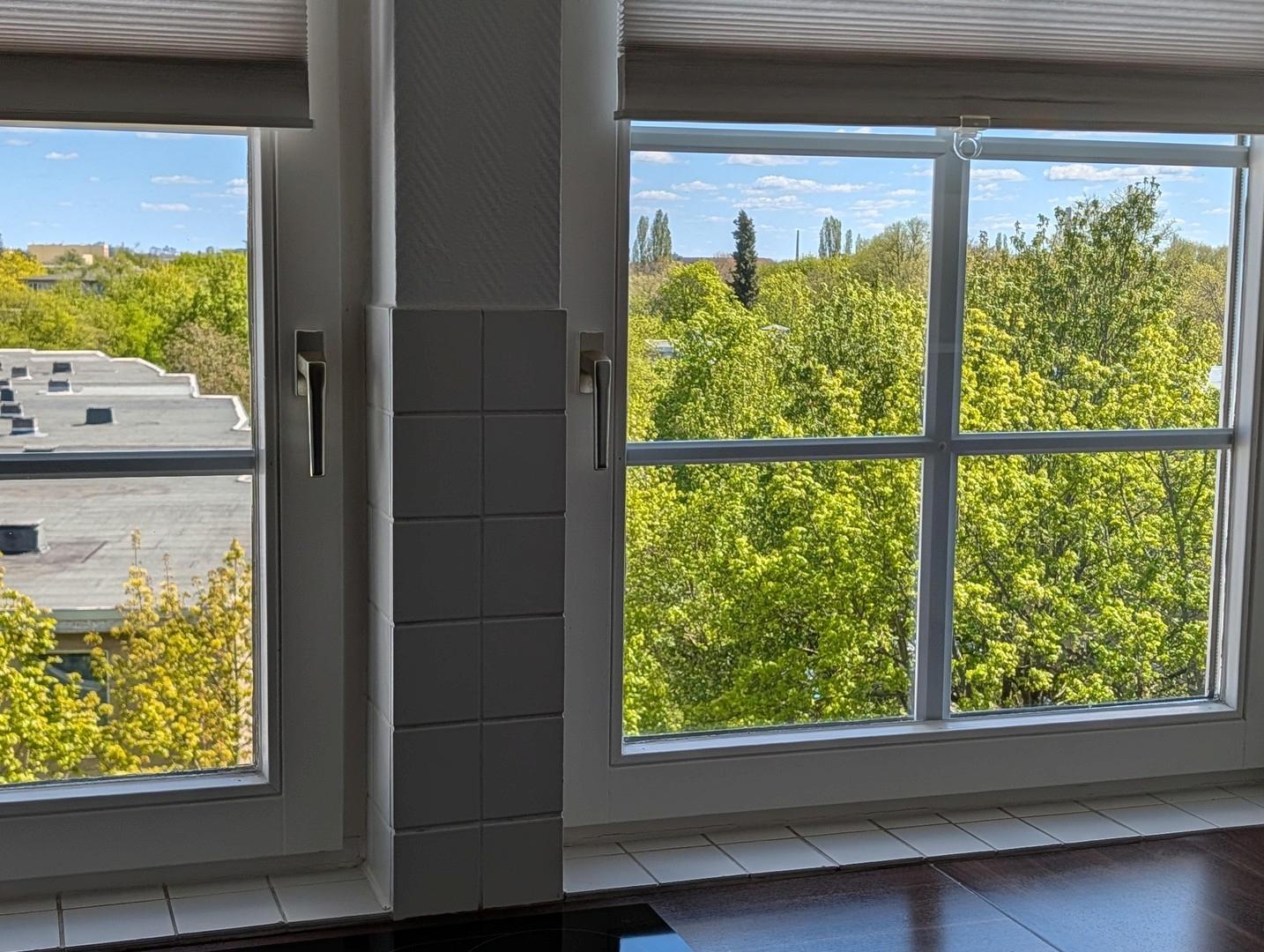 Blick aus dem Küchenfenster