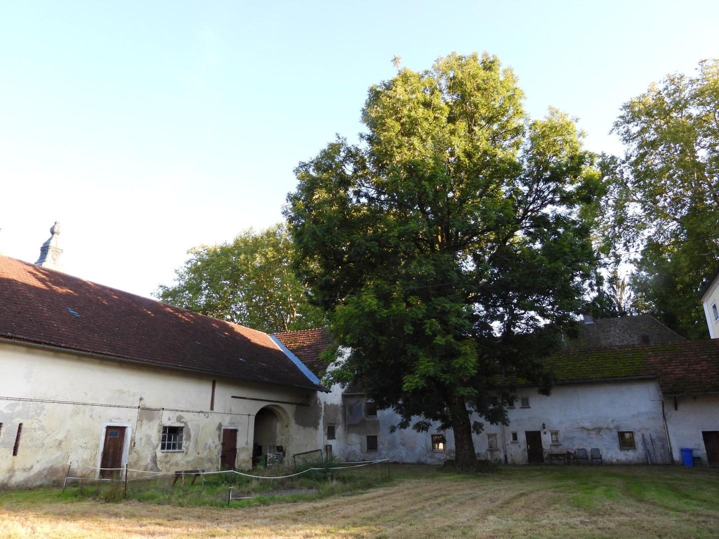 Stallflügel - Verbindungsbau
