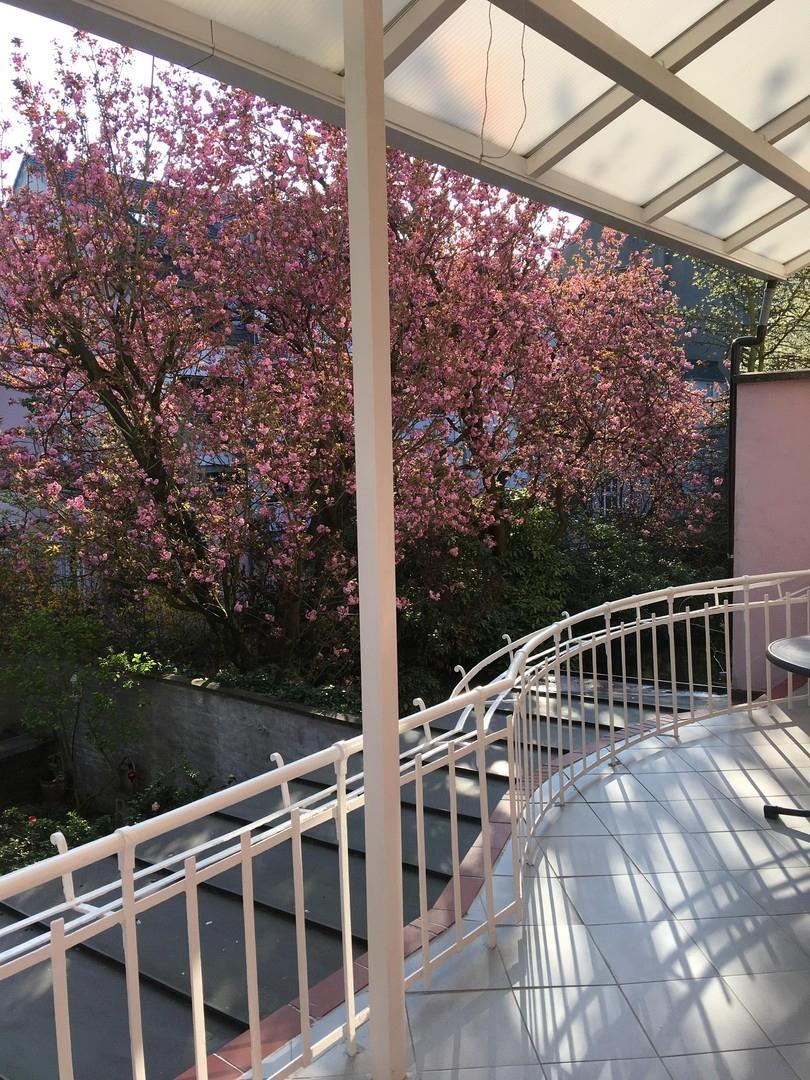 Balkon 1. OG