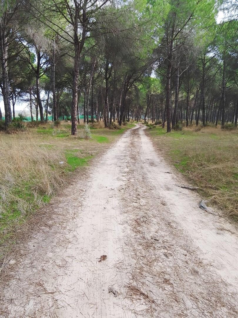 kurz vor der Finca