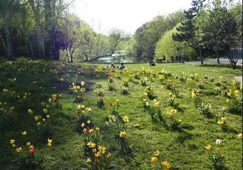 Volkspark Wilmersdorf