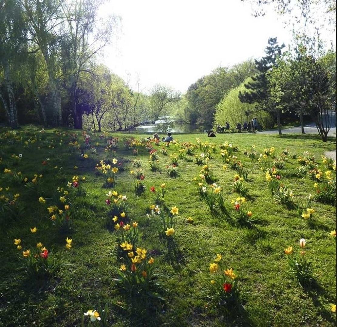 Volkspark Wilmersdorf