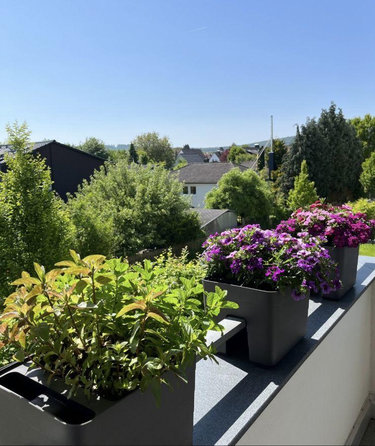 Ausblick