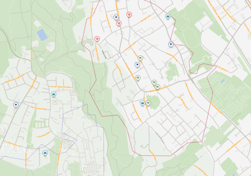 Site plan (micro)