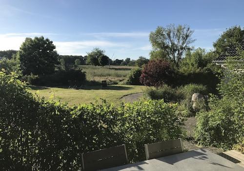 Blick von Terrasse 2