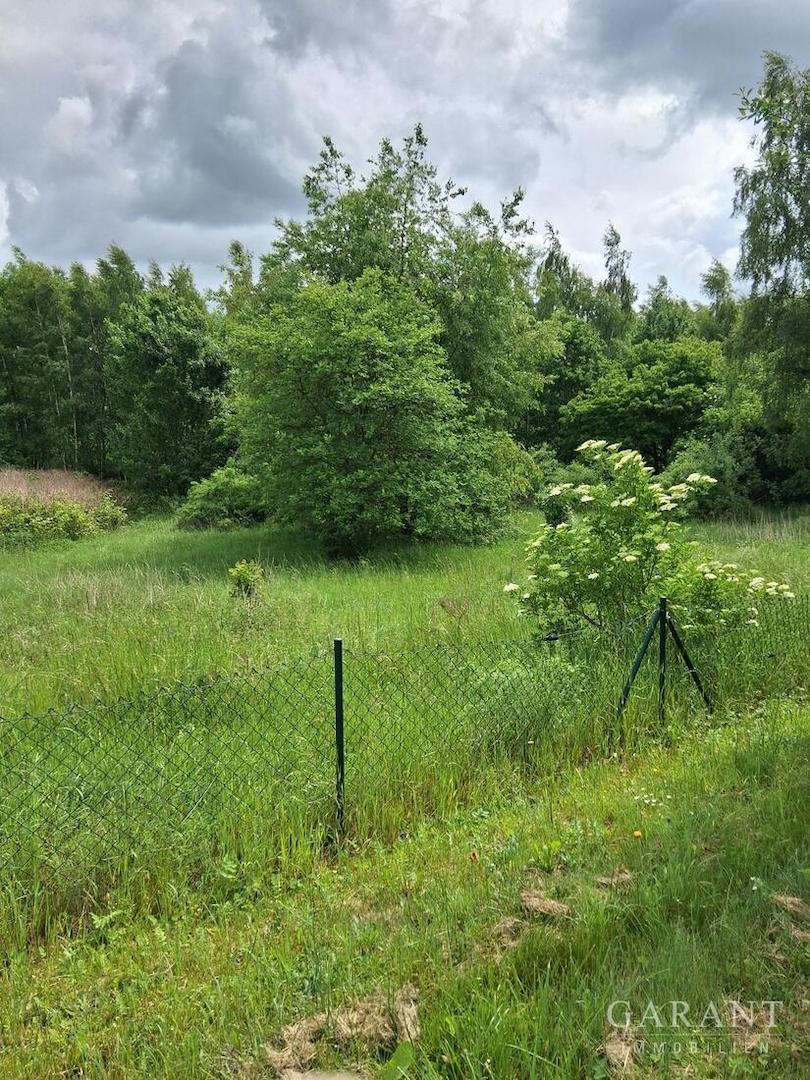 Blick ins Grüne..
