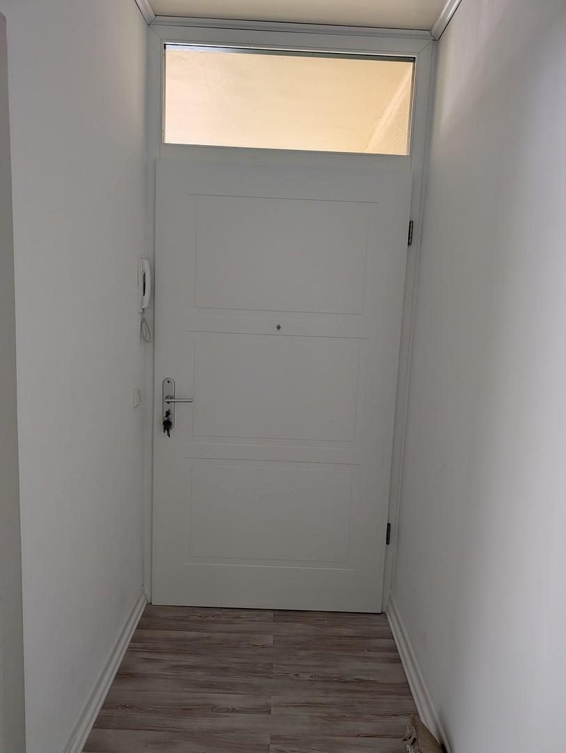 Wohnungseingangstür