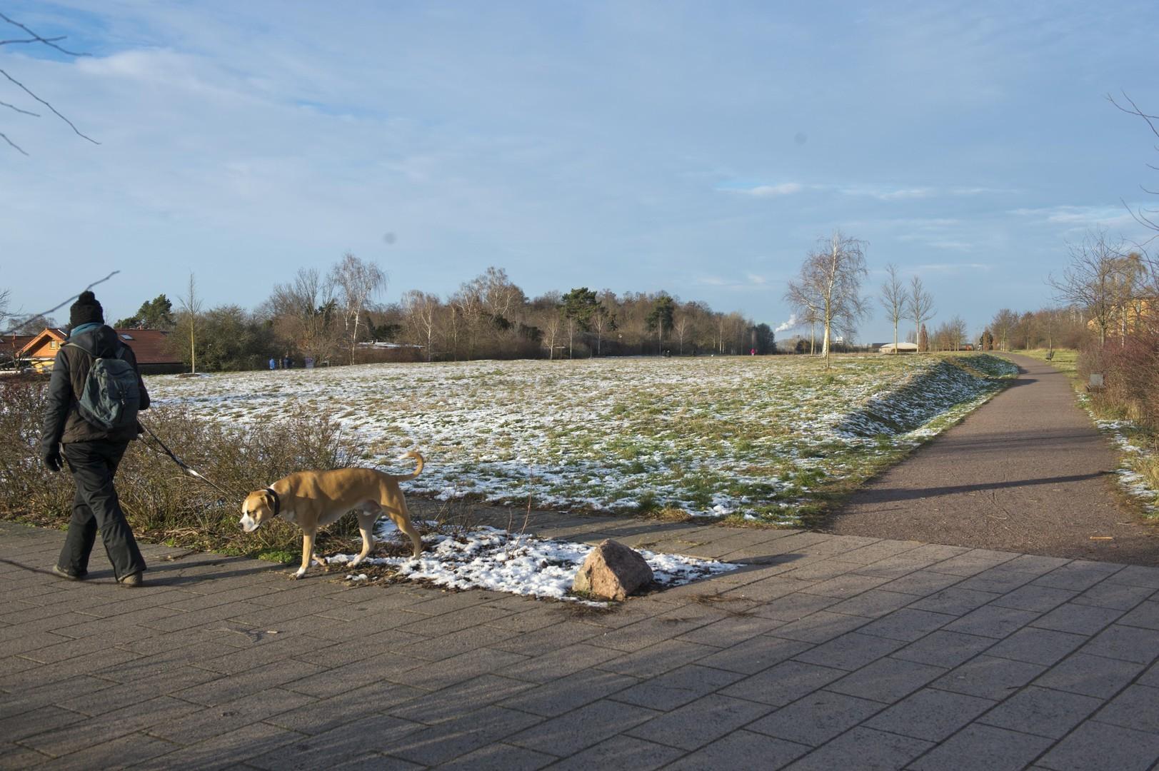 Umgebung