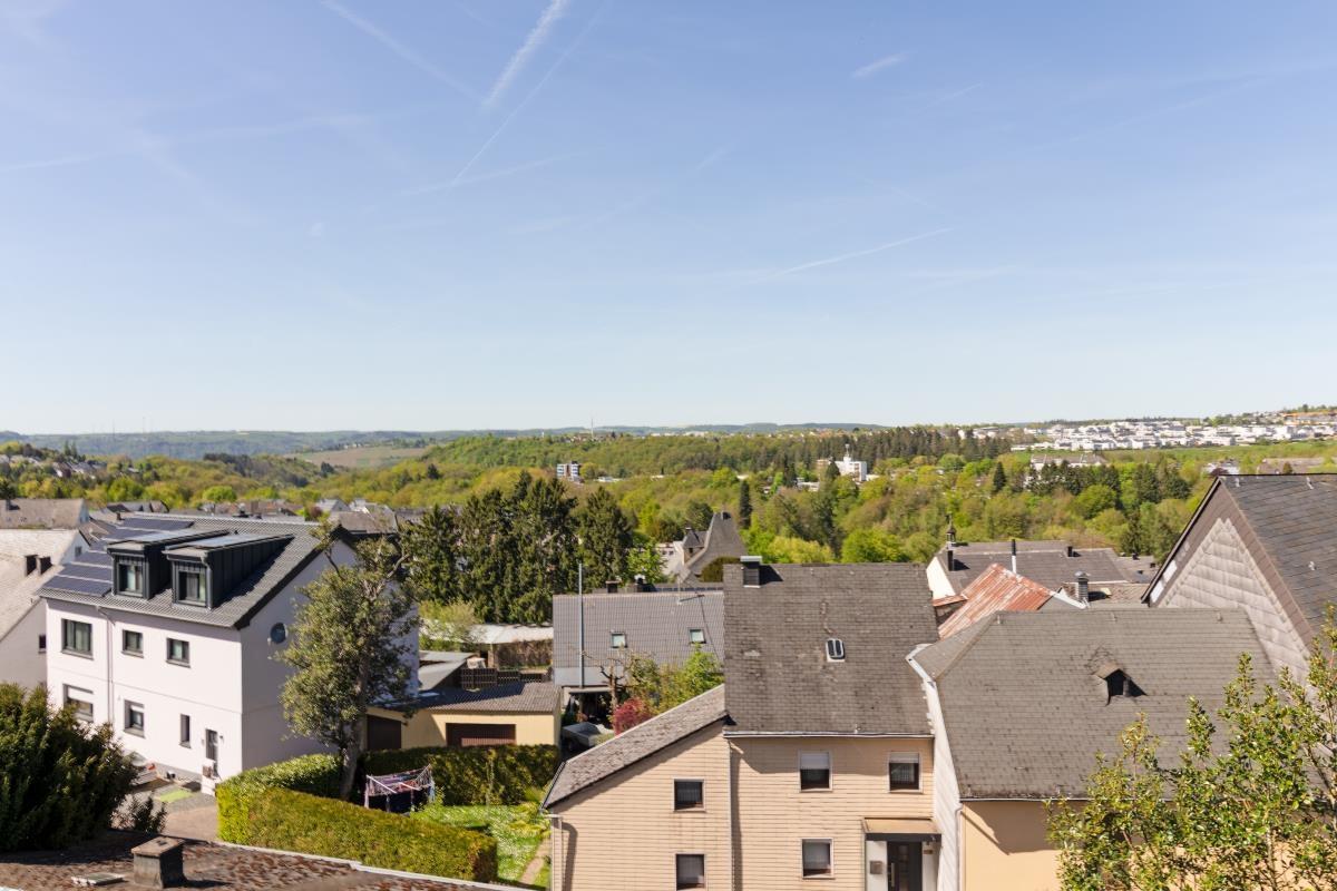 Ausblick 1.0