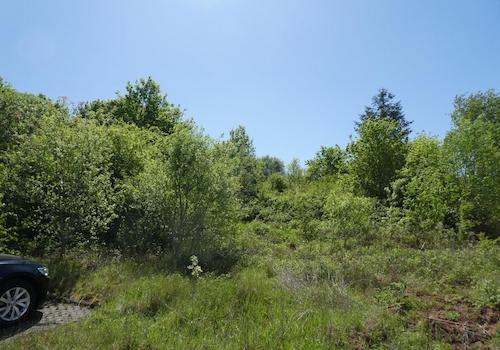 Ansicht 4
