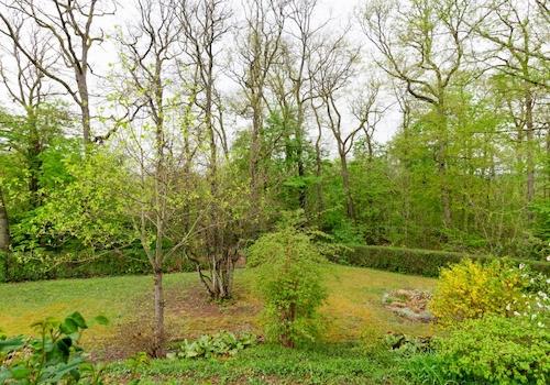 Garten 2