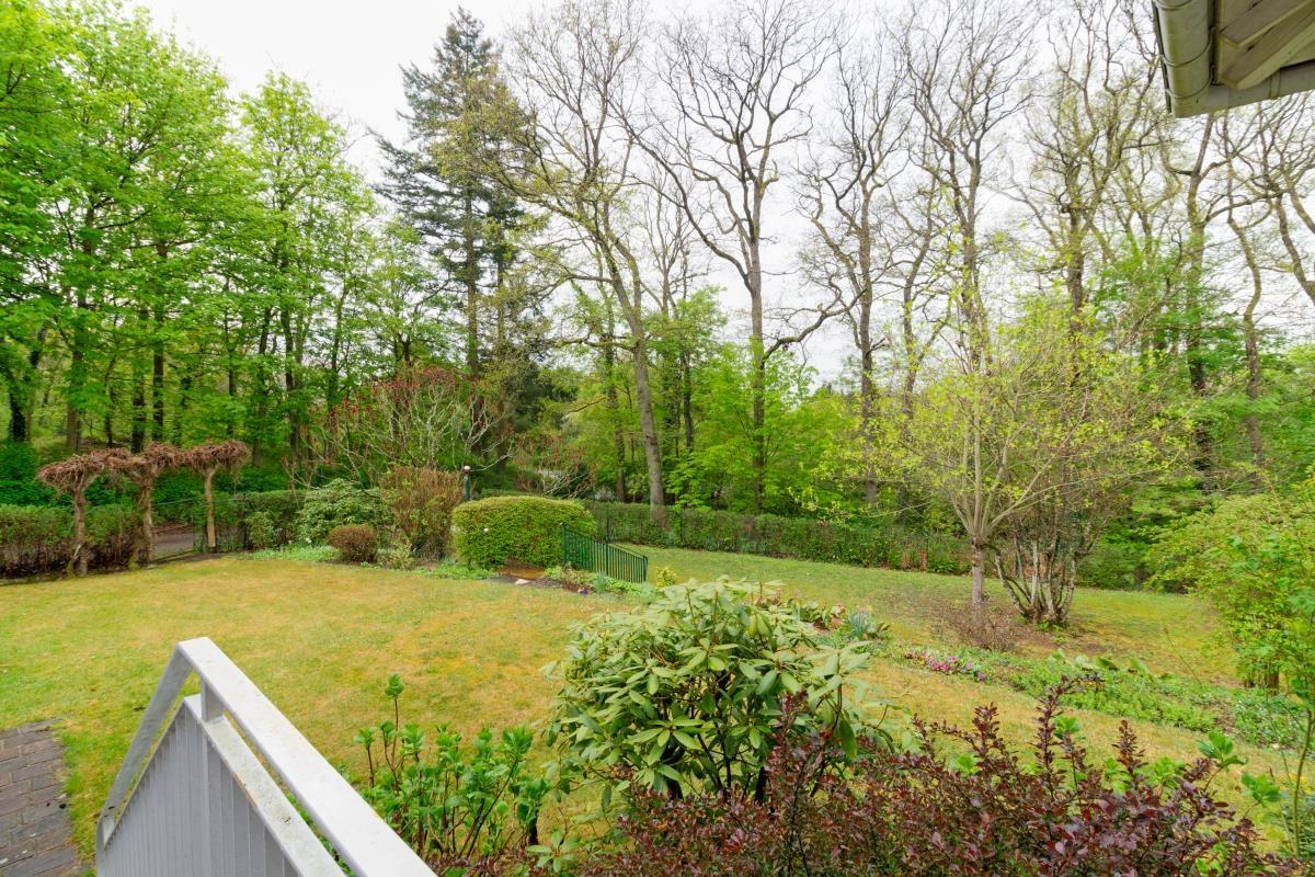 Garten 1