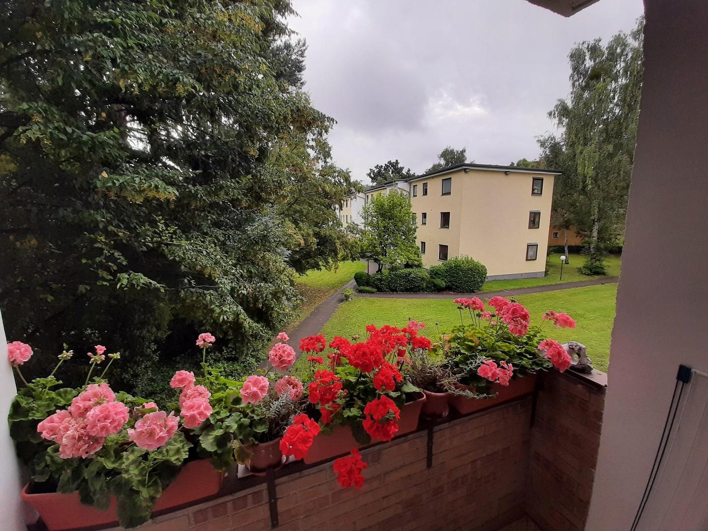 Blick vom Balkon