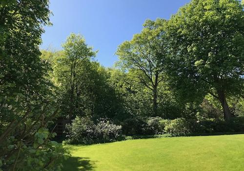 Garten
