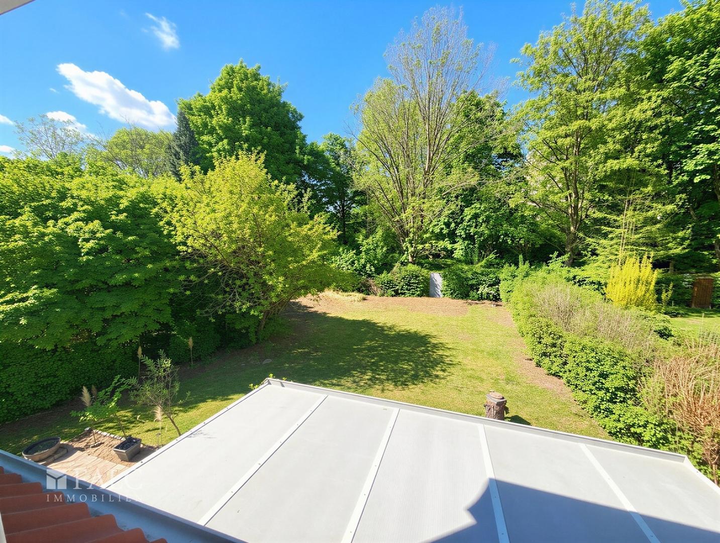 Blick in den Garten  