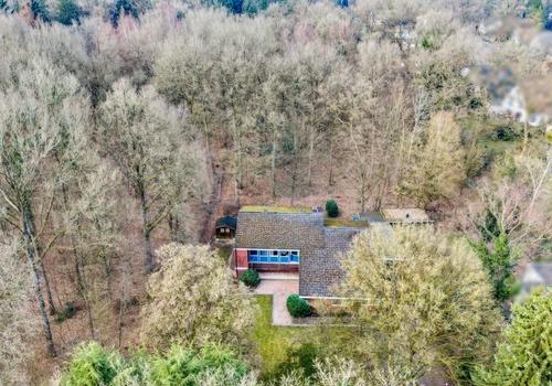 Waldgrundstück