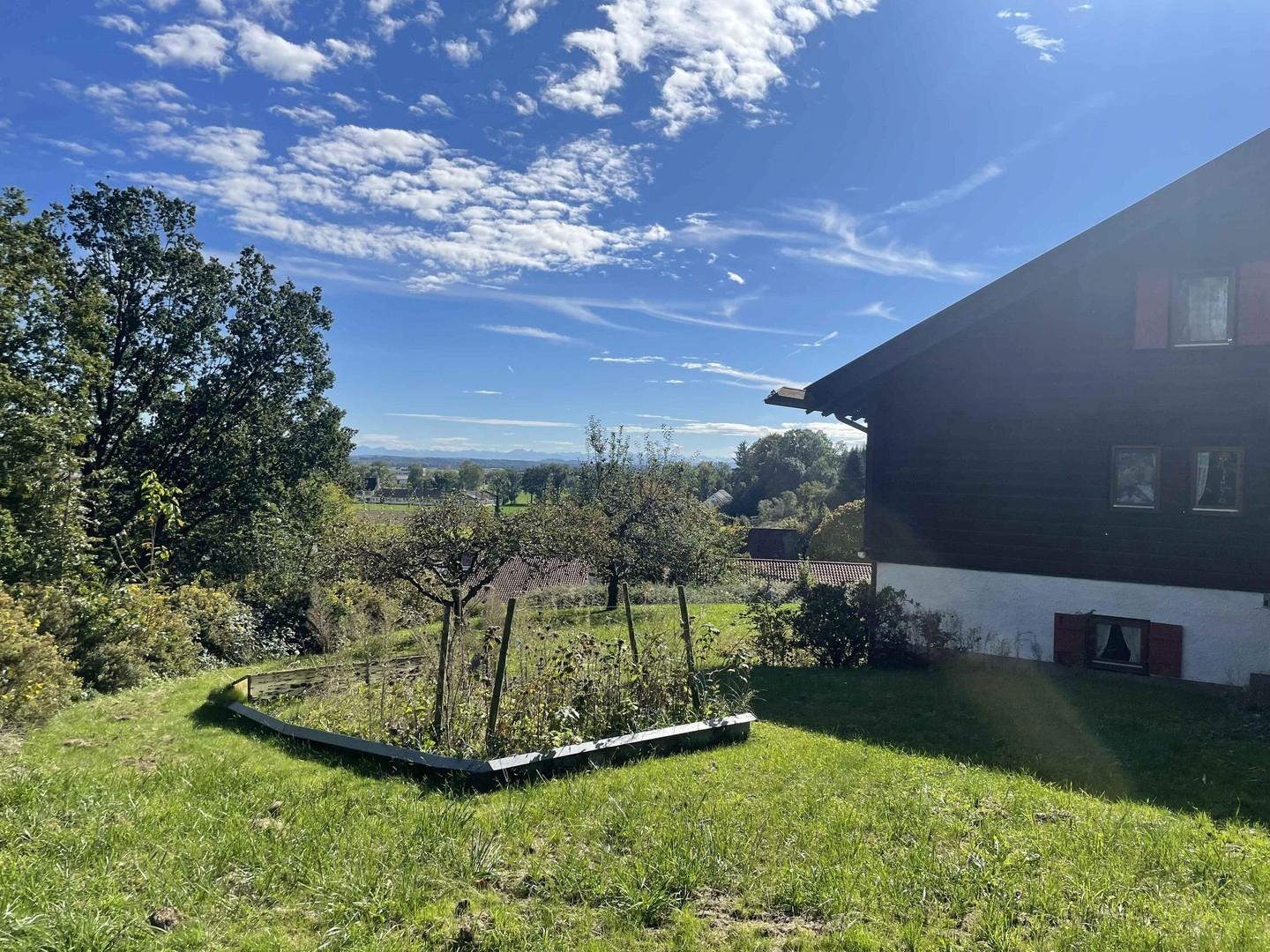 Garten, Beet, Blick nach Süden