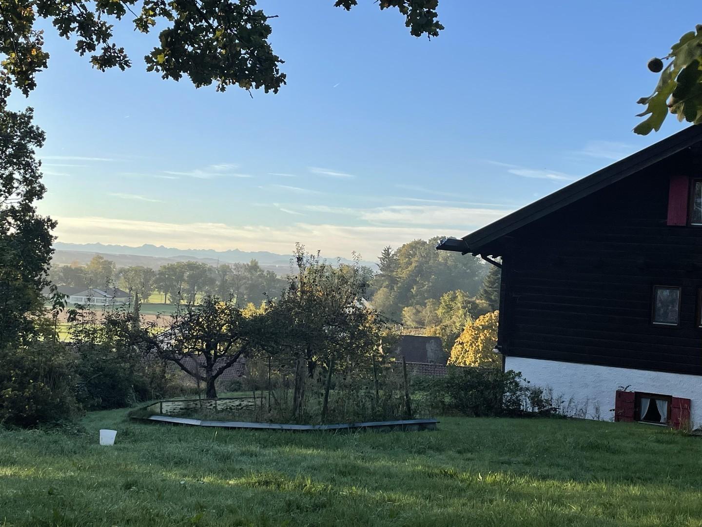 Garten, Beet, Alpenblick