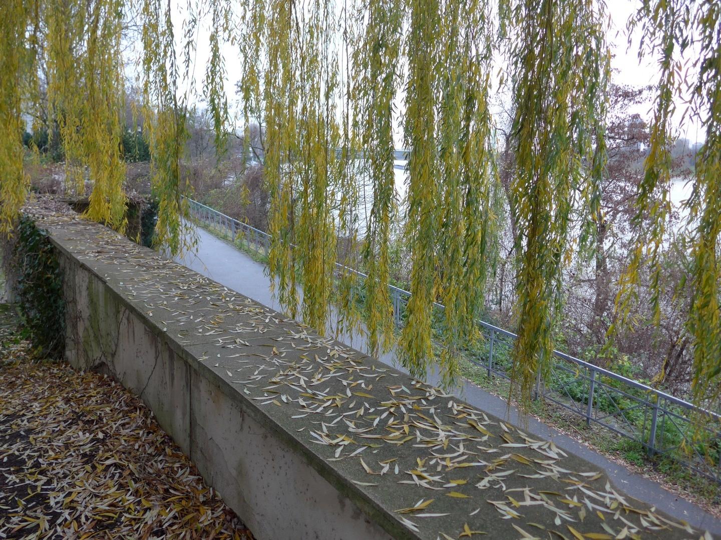 Uferpromenade
