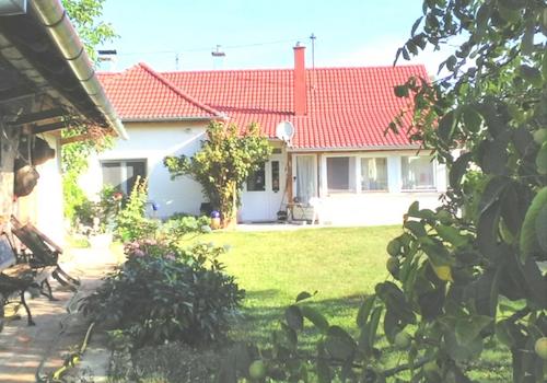 Ansicht vom Garten