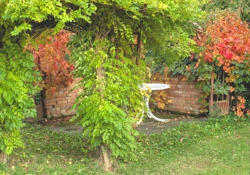 Sitzecke im Garten