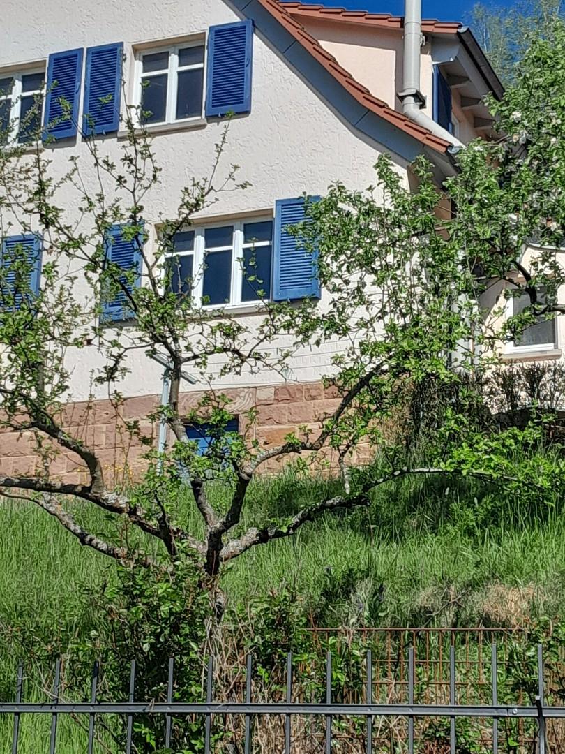 Südansicht