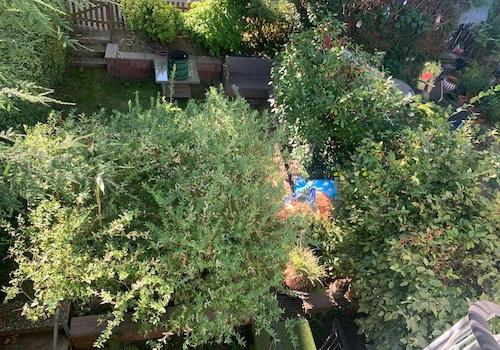 Gartenblick 