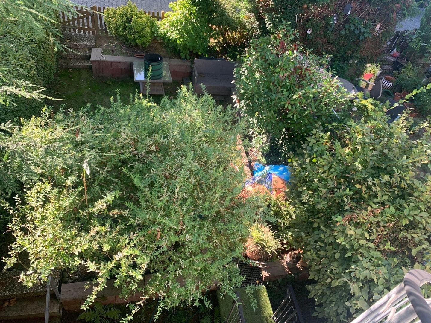 Gartenblick 