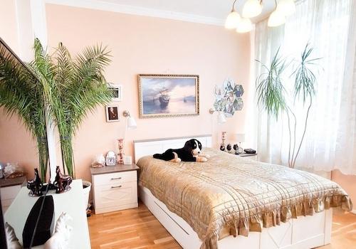 EG Schlafzimmer