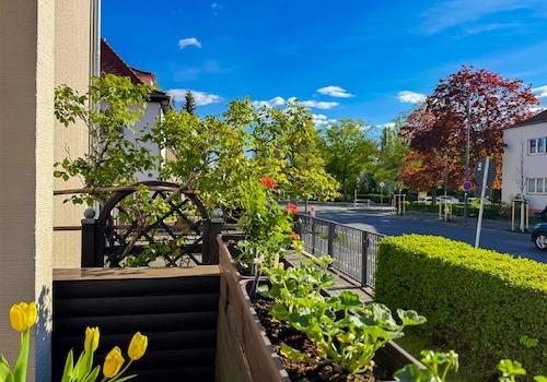 Blick von der Terrasse (2)