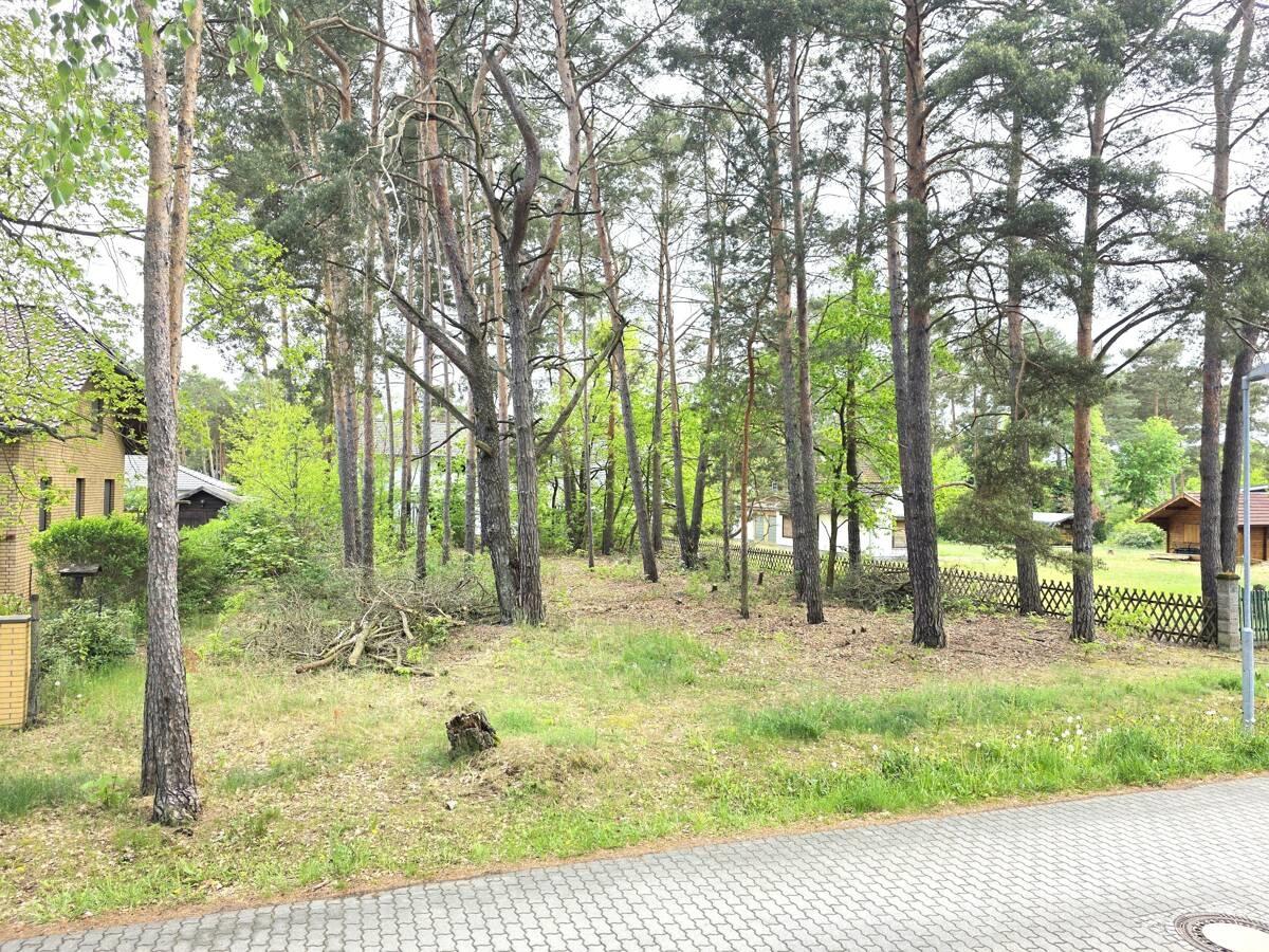Blick von der linken Straßenecke auf das Grundstück