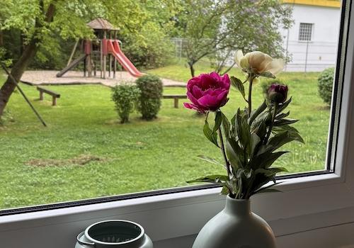Blick ins Grüne