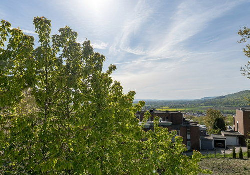 Ausblick OG
