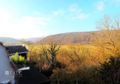 Ausblick