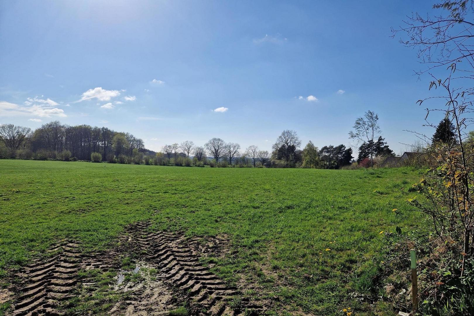 Blick auf das Grundstück